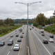 Illustration for article titled Pics from the Curbside: 2019-09-26 Around Deer Lake Park